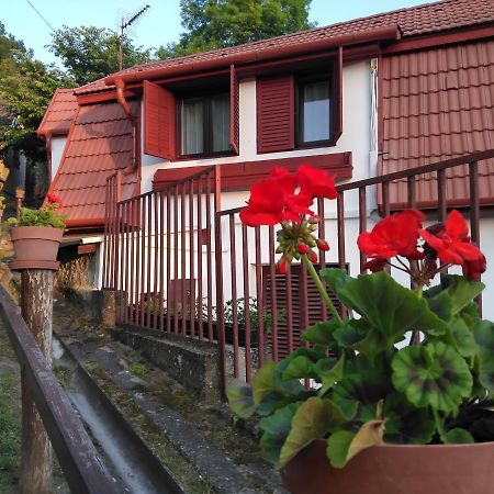 Szonyi Uti Vendeghaz Otel Zebegény Dış mekan fotoğraf