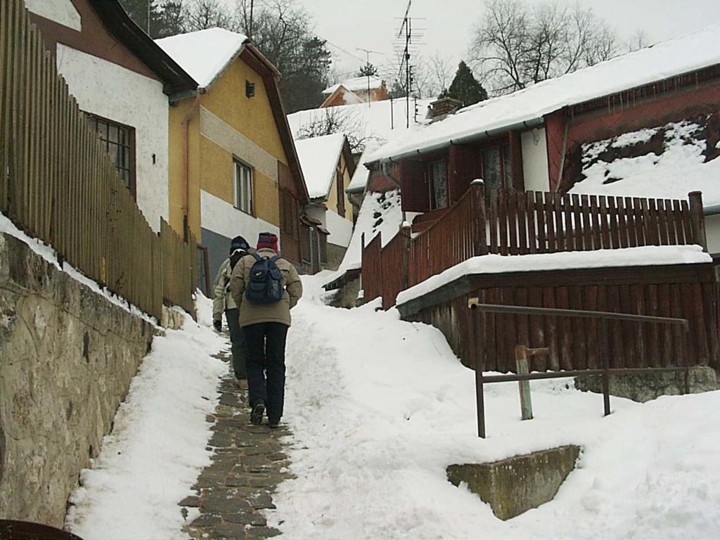 Szonyi Uti Vendeghaz Otel Zebegény Dış mekan fotoğraf