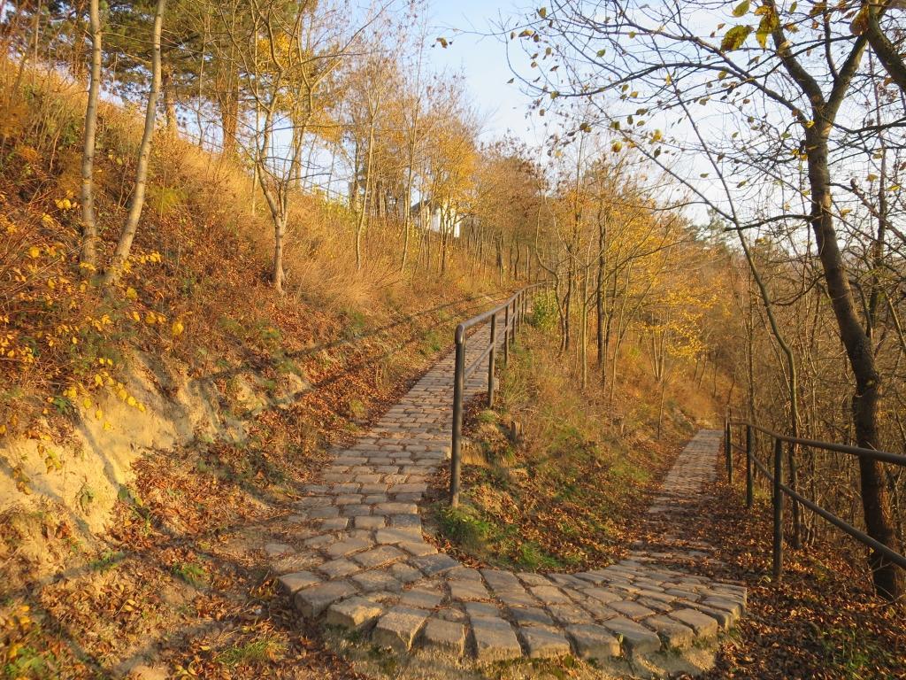 Szonyi Uti Vendeghaz Otel Zebegény Dış mekan fotoğraf