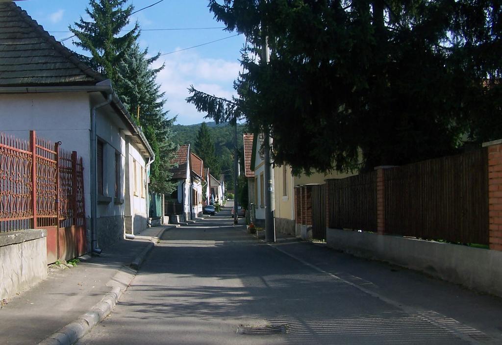 Szonyi Uti Vendeghaz Otel Zebegény Dış mekan fotoğraf